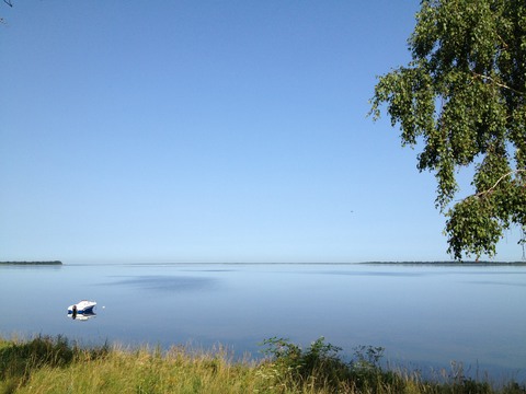 Galerie-Bild von Lars Seemann