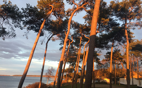 Galerie-Bild von Lars Seemann