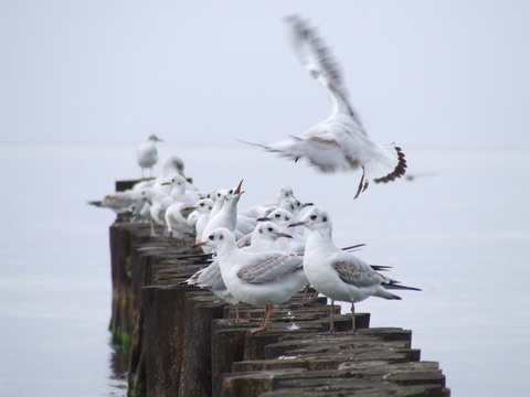 Galerie-Bild von Katrin Bergmann