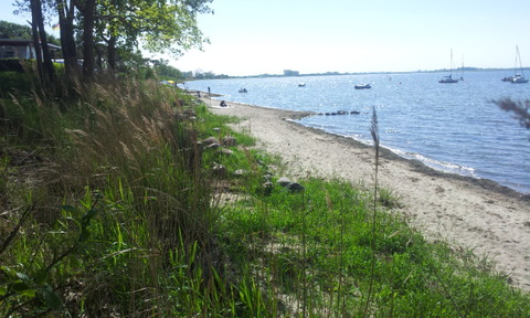 Galerie-Bild von Norbert Kroeplin