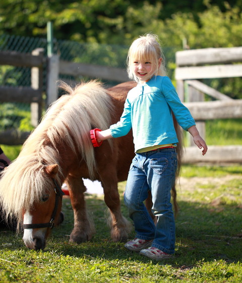 Galerie-Bild von  Kruse