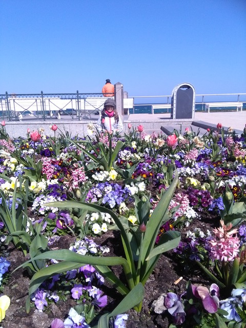 Galerie-Bild von Birgit Hensel