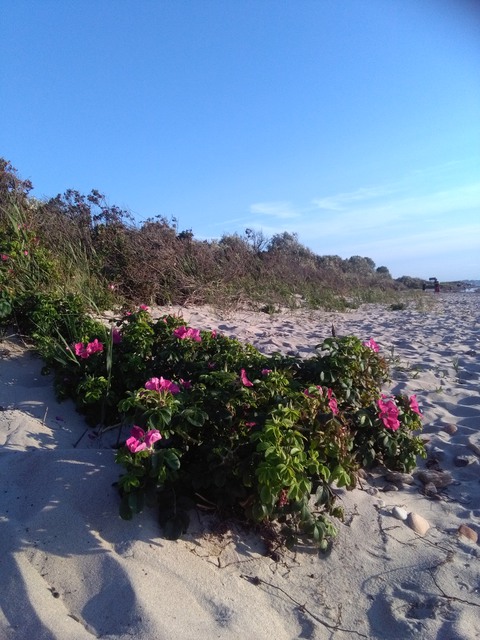 Galerie-Bild von Birgit Hensel