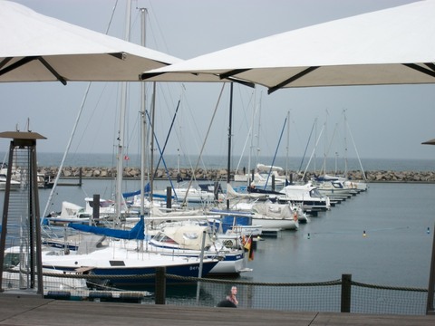 Galerie-Bild von Christiane Zanter