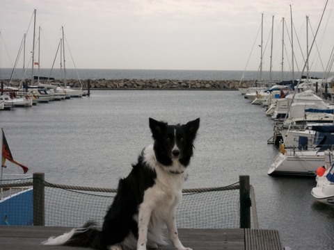 Galerie-Bild von Christiane Zanter