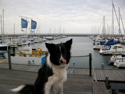 Galerie-Bild von Christiane Zanter