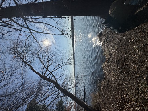 Galerie-Bild von Silke Schwanbeck