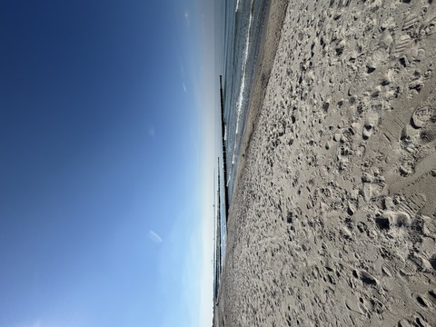 Galerie-Bild von Silke Schwanbeck