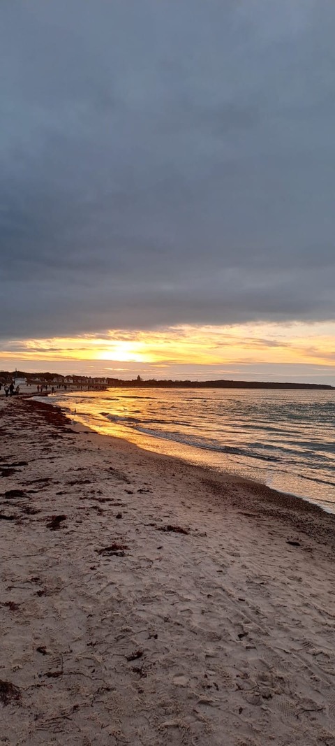 Galerie-Bild von Silke Schwanbeck