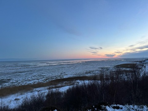 Galerie-Bild von Silke Schwanbeck