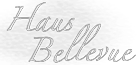 Logo Haus Bellevue Seeblick