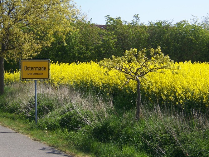 Ferienwohnung in Ostermade - Seestern - Bild 2