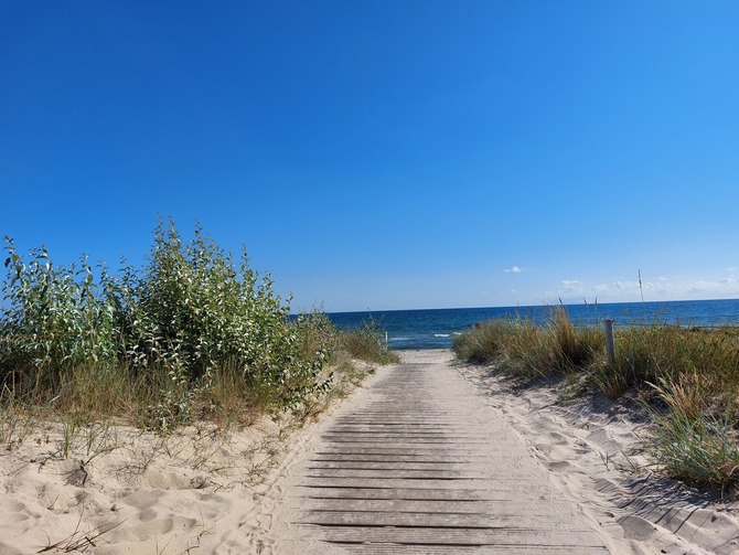 Ferienwohnung in Baabe - Stranddistel - Bild 14