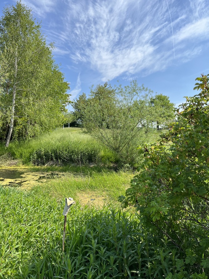 Ferienwohnung in Steffenshagen - FeWo mit Klavier - Bild 14