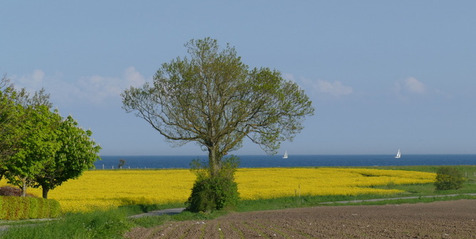 Ferienwohnung in Grömitz - Lensterbek N° 8 - Bild 16