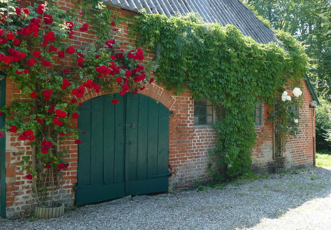 Ferienwohnung in Grömitz - Lensterbek N° 8 - Bild 17