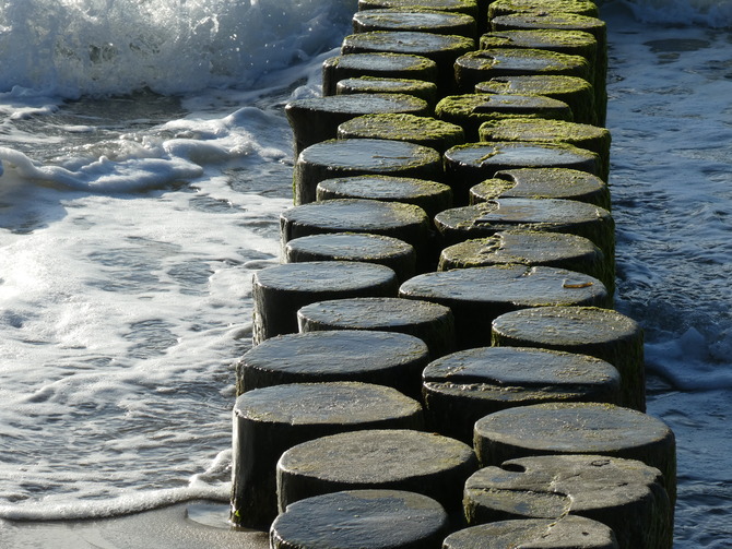 Ferienhaus in Ahrenshoop - Fischlandkoje Ahrenshoop - Bild 14