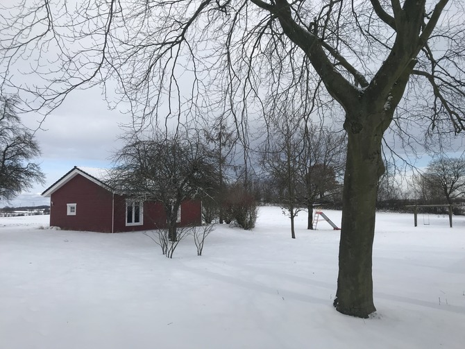 Ferienhaus in Neustadt - Holzhaus - Bild 13