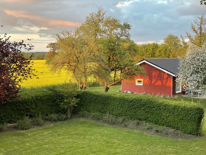 Ferienhaus in Neustadt - Holzhaus - Bild 14