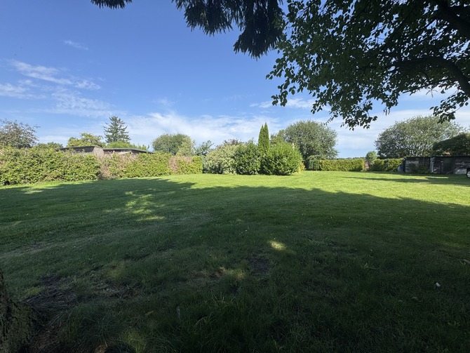 Ferienwohnung in Niederhagen - Sonne und Me(eh)r - Garten