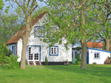 Ferienwohnung in Lancken - Wetterfrosch - Bild 6