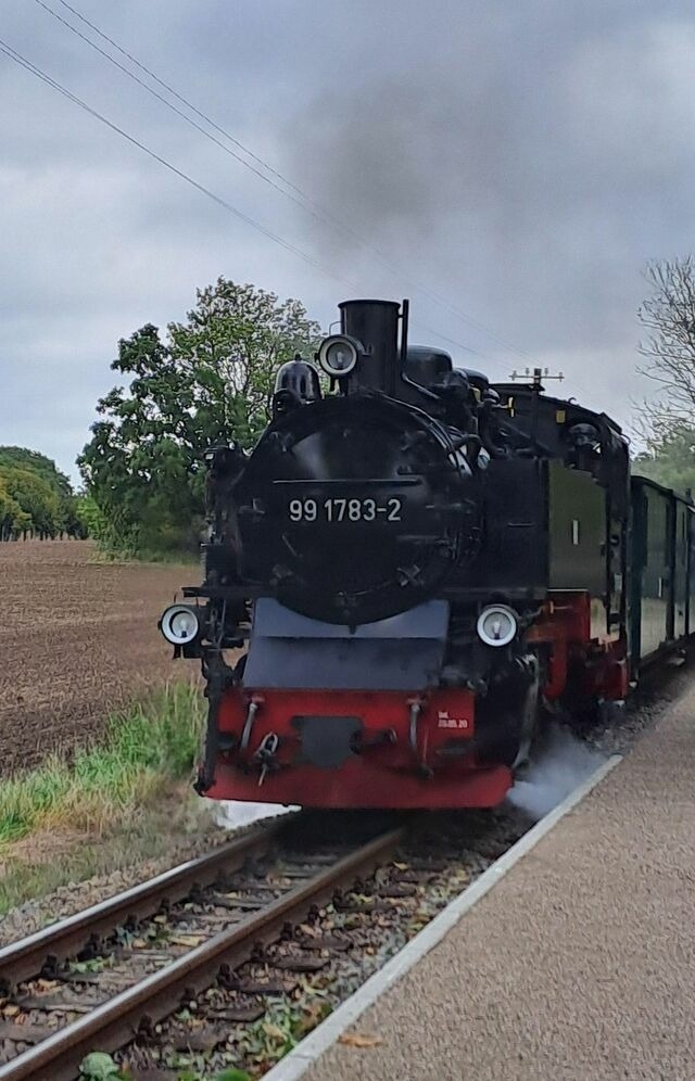 Ferienwohnung in Binz - "Villa M&ouml;nchgut", Ferienwohnung Kr&uuml;ck/Fl&ouml;ter - Bild 21