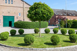 Ferienwohnung in Fehmarn OT Westermarkelsdorf - Sturmm&ouml;we - Bild 12