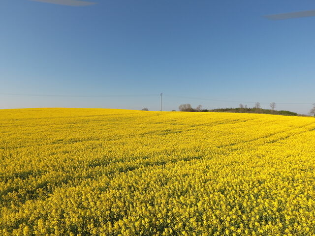Ferienwohnung in Rabenkirchen-Faul&uuml;ck - Schleiblick App. 5 - Bild 11