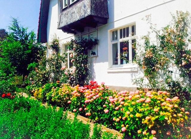 Ferienwohnung in Klingberg - romantische Ferienwohnung Sachsenhof 1 - Bild 9