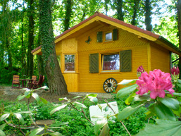 Schweden Haus