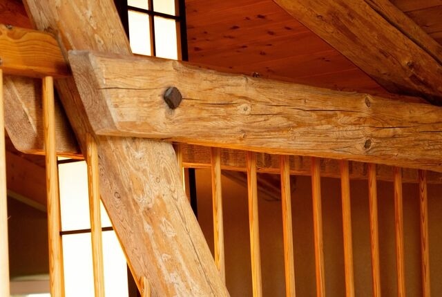 Ferienwohnung in Barkelsby - &ouml;kologische Ferienwohnung Rossee /Wohnung Ost - Bild 7