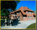 Ferienwohnung in Fehmarn OT Presen - "Ferienhof Rie&szlig;en" Utspan Nr. 61 - Bild 1