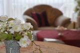 Ferienwohnung in Schönberger Strand - Venus, S. & H.: App. (Nr. 8) - Bild 6