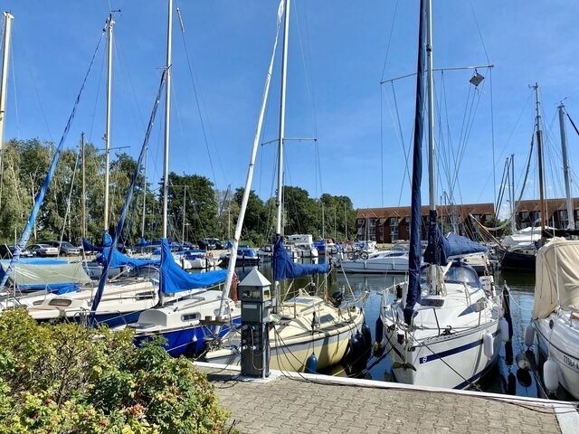 Ferienwohnung in Ueckermünde - Lagunenstadt am Haff Fewo 87 - Dione - Bild 11