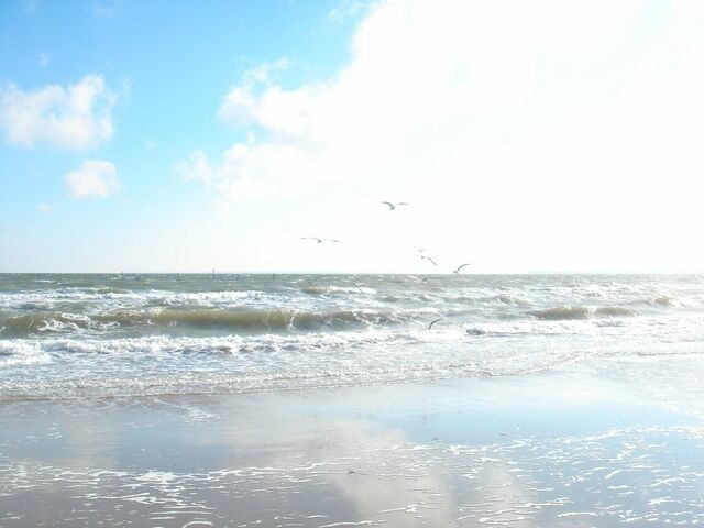 Ferienwohnung in Haffkrug - Strandl&auml;ufer - Bild 6