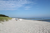 Ferienwohnung in Zingst - Deichgraf - Bild 3