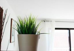 Haus Seemöwe - 1-Raum-Ferienwohnung - Kurzurlauber sind außerhalb der Hauptsaison herzlich Willkommen!