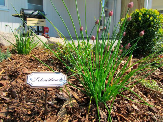 Ferienhaus in Gr&ouml;mitz - "Ferienhaus II - Hof Westensee" - Bild 17