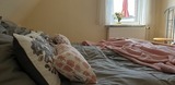 Ferienwohnung in Grömitz - "Haus Rosenstraße - Whg. 2" - Bild 21