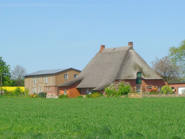 Ferienwohnung in Riepsdorf - "Hof Triangel - Whg. 1" - Bauernhofurlaub mit Streicheltieren und Treckerfahren - Bild 19