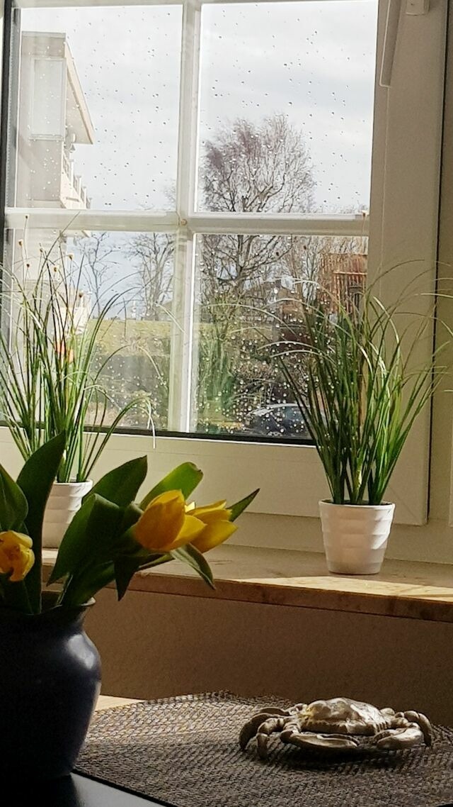 Ferienwohnung in Gr&ouml;mitz - Fienchen - Helle, komfortable Ferienwohnung zum Wohlf&uuml;hlen nah am Strand, Promenade und D&uuml;nenpark - Bild 20