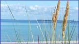 Ferienwohnung in Grömitz - Bonna&#039;s Ostsee Oase - Haus Baltic - Whg. 180 - Inkl. gratis WLAN und Saisonstrandkorb - Bild 4