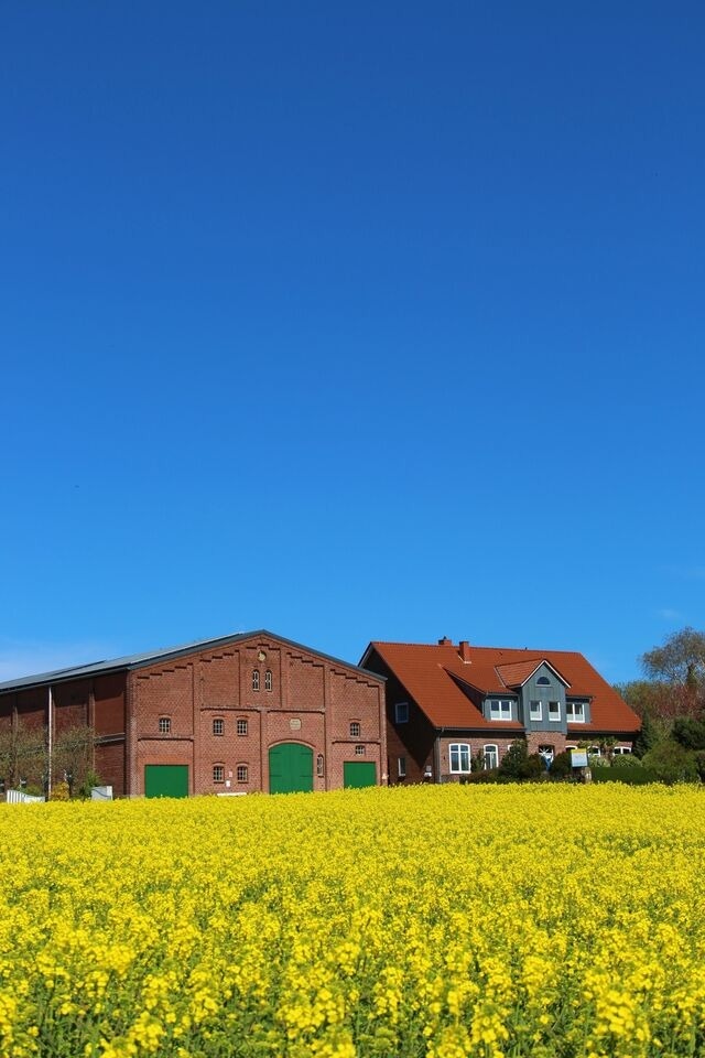 Ferienwohnung in Fehmarn OT Meeschendorf - Kleingarn - "Meeresblick" Nr.11 - Bild 18