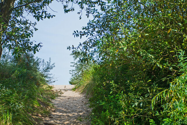 Ferienhaus in Ückeritz - Seestern - Bild 13