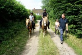 Ferienwohnung in Grube - Ferienhof Stoldt - Ponyreiten