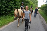 Ferienwohnung in Grube - Ferienhof Stoldt - Ponyreiten