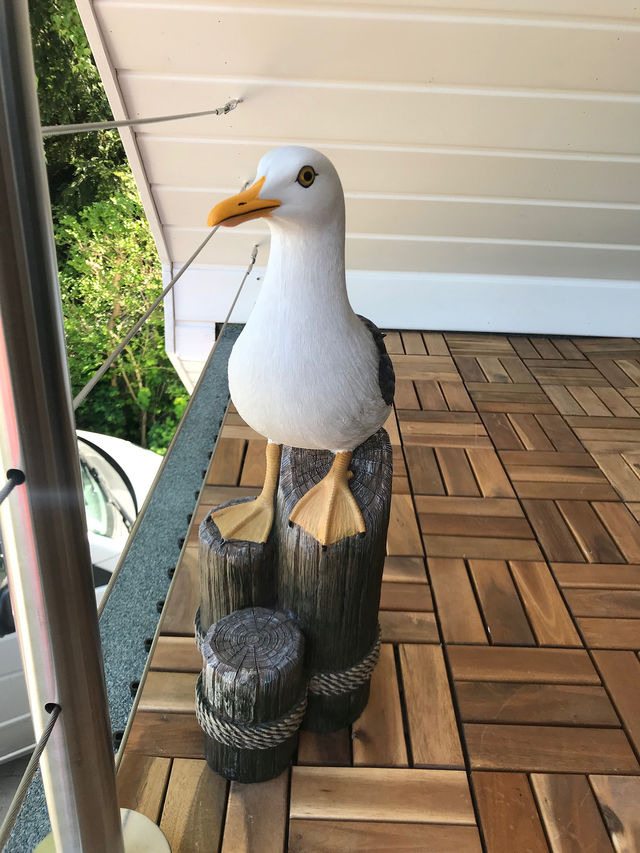 Ferienwohnung in Ostseeheilbad Zingst - Br&uuml;ckendeck App. 3 - Bild 18