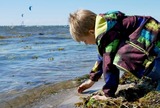 Ferienwohnung in Fehmarn - Knusthof Lafrenz - Goldblick - Bild 11