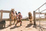 Ferienwohnung in Fehmarn - Ferienhof B&uuml;dlfarm - S&uuml;d - Bild 11