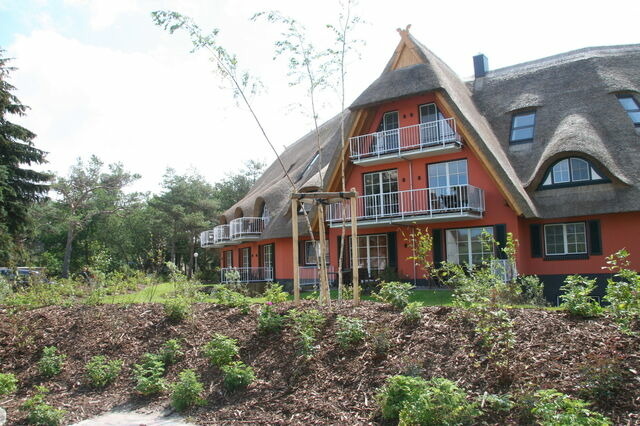 Ferienwohnung in Dierhagen - Garten-Maisonette-Ferienwohnung - Bild 14